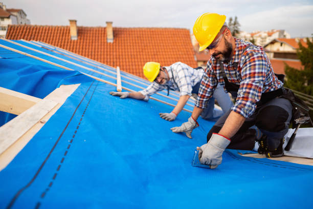 Roof Gutter Cleaning in Pullman, WA